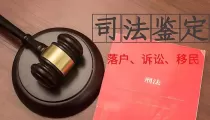洛阳司法亲子鉴定费用是多少钱？最新收费标准及办理流程