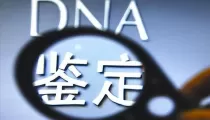 洛阳亲子鉴定要多少钱？最新费用标准及办理流程